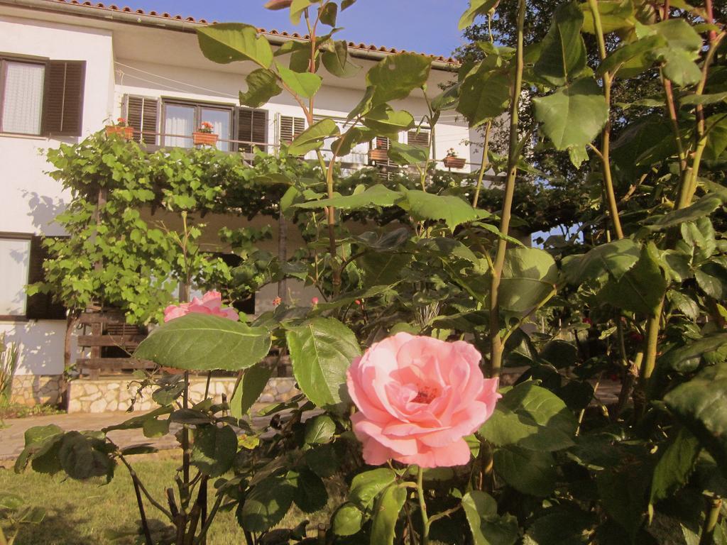 Iva Appartement Rovinjsko Selo